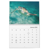Calendrier mural de la tortue de mer 2019 (Jan 2026)
