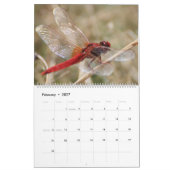 Calendrier mural de libellules dans la nature Mign (Feb 2027)