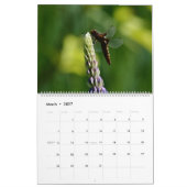 Calendrier mural de libellules dans la nature Mign (Mar 2027)