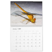 Calendrier mural de libellules dans la nature Mign (Jan 2027)
