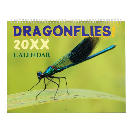 Calendrier mural de libellules dans la nature Mign (Protection)