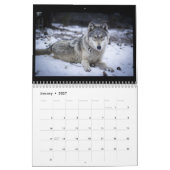 Calendrier mural de loup (Jan 2027)