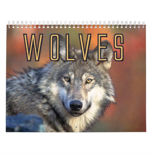 Calendrier mural de loups (Protection)