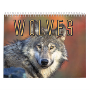 Calendrier mural de loups