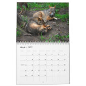 Calendrier mural de loups (Mar 2027)