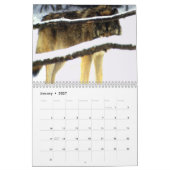 Calendrier mural de loups (Jan 2027)
