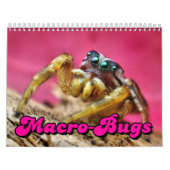 Calendrier mural de Macro-Insectes (Protection)