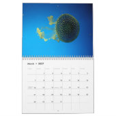 Calendrier mural de méduses (Mar 2027)