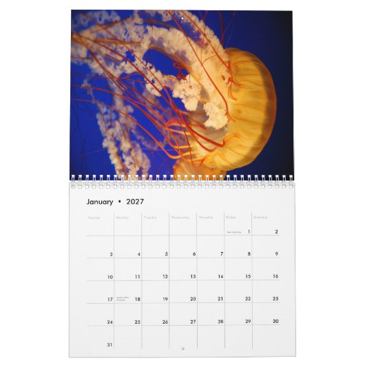 Calendrier mural de méduses (Jan 2027)