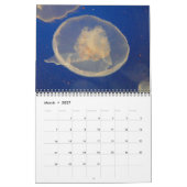Calendrier mural de méduses 2017 (Mar 2027)