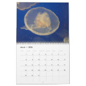 Calendrier mural de méduses 2017 (Mar 2026)