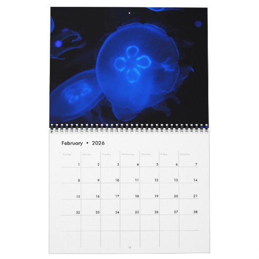 Calendrier mural de méduses 2017 (Feb 2026)