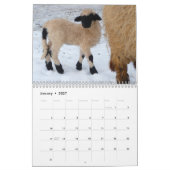 Calendrier mural de moutons (Jan 2027)