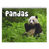 Calendrier mural de pandas (Protection)