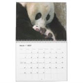 Calendrier mural de pandas (Mar 2027)