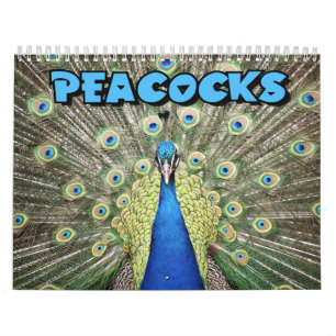 Calendrier mural de paons