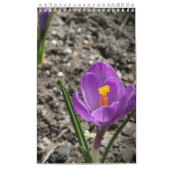 Calendrier mural de photographie personnalisé (Protection)