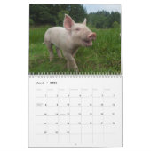 Calendrier mural de porcs - sourire en 2018 (Mar 2026)