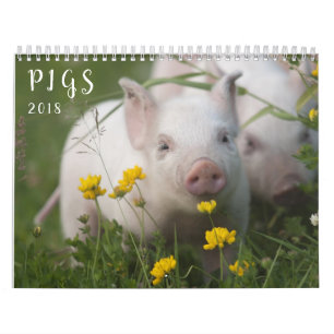 Calendrier mural de porcs - sourire en 2018