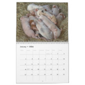 Calendrier mural de porcs - sourire en 2018 (Jan 2026)