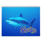 Calendrier mural de requins (Protection)