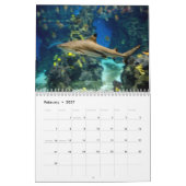 Calendrier mural de requins (Feb 2027)