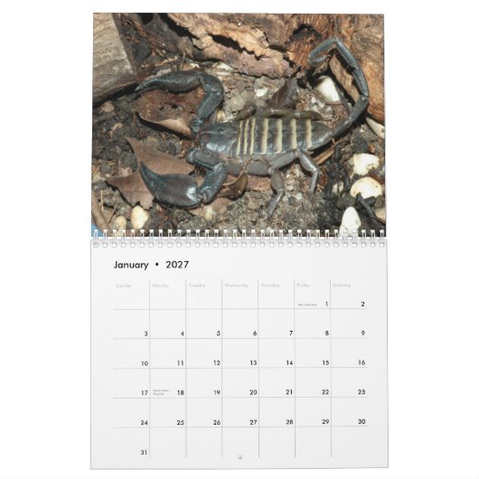 Calendrier mural de scorpions (Jan 2027)