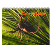 Calendrier mural de scorpions (Protection)