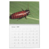 Calendrier mural de sifflement de cancrelats de (Jan 2027)
