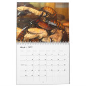 Calendrier mural de sifflement de cancrelats de (Mar 2027)