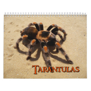Calendrier mural de tarentules