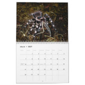 Calendrier mural de tarentules (Mar 2027)