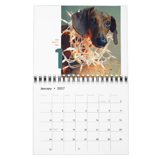 calendrier mural de teckel 2012 - chumley (Jan 2027)