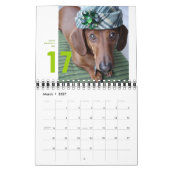 calendrier mural de teckel 2012 - chumley (Mar 2027)
