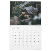 Calendrier mural de tortue (Mar 2026)