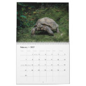 Calendrier mural de tortue (Feb 2027)