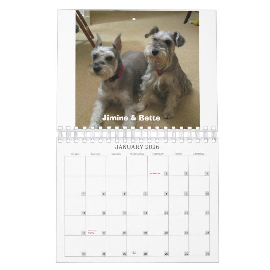 Calendrier Mural Délivrance de Schnauzer du 2012 américanisé (Jan 2026)