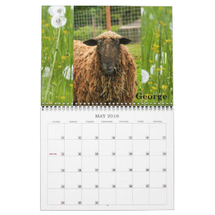 Calendrier Mural Délivrance et sanctuaire 2016 de chèvre de ferme