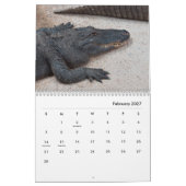 Calendrier mural des alligators (Feb 2027)