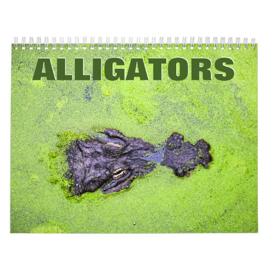 Calendrier mural des alligators (Protection)