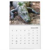 Calendrier mural des alligators (Jan 2026)