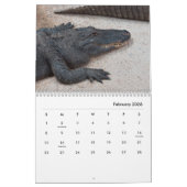 Calendrier mural des alligators (Feb 2026)