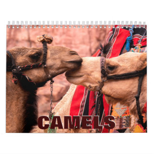 Calendrier mural des chameaux 2022
