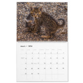 Calendrier mural des chatons - HAMbyWG (Mar 2026)