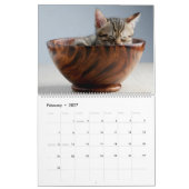 Calendrier mural des chatons - HAMbyWG (Feb 2027)