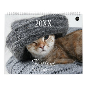 Calendrier mural des chatons - HAMbyWG
