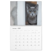Calendrier mural des chatons - HAMbyWG (Jan 2027)