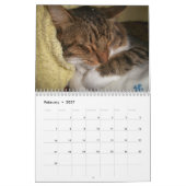 Calendrier mural des chats 2017 de sommeil (Feb 2027)