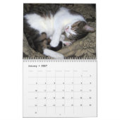 Calendrier mural des chats 2017 de sommeil (Jan 2027)
