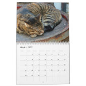 Calendrier mural des chats 2017 de sommeil (Mar 2027)